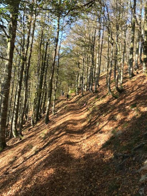 La Magie Entre Deux Lacs Gerardmer Bagian luar foto