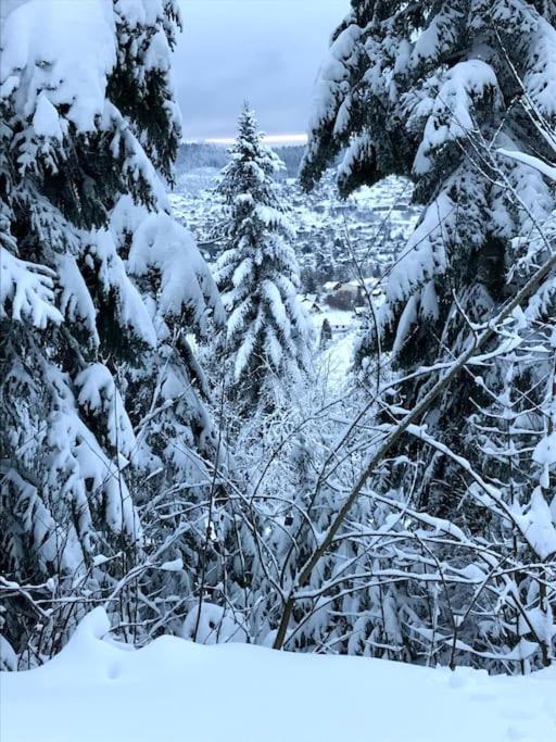La Magie Entre Deux Lacs Gerardmer Bagian luar foto