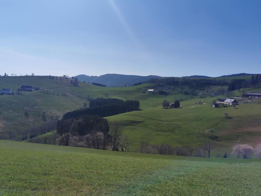 La Magie Entre Deux Lacs Gerardmer Bagian luar foto